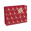5033601497646-Clairefontaine Lovely Home - Sac cadeau rouge - 37,3 cm x 11,8 cm x 27,5 cm-Angle gauche-0