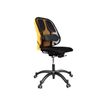 0043859600960-Fellowes Professional - Support dorsal - graphite-P_506285_2-1