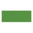 Clairefontaine Premium - Papier - Rol (50 cm x 2,5 m) - groen - 40 g/m² - crèpepapier