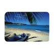 Fellowes Beach Shore - Muismat