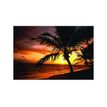 Fellowes Palm Moods - Muismat