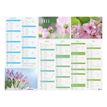 Oberthur Anémone - Planner - 6 maanden per pagina - 270 x 210 mm - met datum