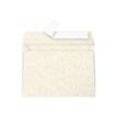 3329680500462-Pollen - 20 Enveloppes - 114 x 162 mm - 120 g/m² - ivoire irisé-P_79153252_1-0