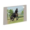3108720414316-Oberthur Cheval - Sous-main double-P_79349347_1-0