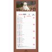 3664447125923-Oberthur - Plaque Illustrée mensuel - 16 x 33,3 cm - disponible dans différents modèles-P_79351467_15-5