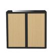 Paperflow easyOffice - Keukenkast - 2 planken - 2 deuren - metaal, high-impact tinted polysterene - zwart, beuken