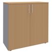 Burocean PRO - Keukenkast - 2 planken - 2 deuren - beuken, aluminium