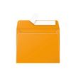 3329680053814-Pollen - 20 Enveloppes - 90 x 140 mm - 120 g/m² - capucine-P_79384433_1-0