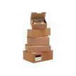 Carton Plus Small - Verzenddoos - 15 cm x 10 cm x 7 cm - pak van 50 x 50