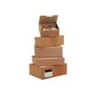 Carton Plus - Verzenddoos - 18 cm x 10 cm x 5 cm - pak van 50 x 50