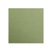 Clairefontaine MAYA - Tekenpapier - A4 - khaki