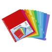 Viquel MAXI - Verdeler - 12 onderdelen - met tabbladen - verschillende kleuren