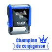 3459594991039-Trodat - Tampon prêt à l'emploi "Champion de conjugaison"-P_79422443_1-0