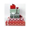 3329682018828-Clairefontaine Alliance - Papier cadeau - 70 cm x 2 m - 60 g/m² - motif au coin du feu-P_79434693_5-4