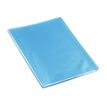 Viquel Propyglass - Showalbum - 40 compartimenten - 80 weergaven - A4 - blauw
