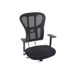 3701338800788-Fauteuil Haut TANET - hauteur réglable - accoudoirs règlable - noir-P_79438617_6-5