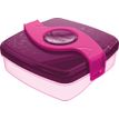 Maped Picnik Origin - Voedselbewaardoos - 520 ml - paars
