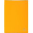Exacompta - Showalbum - 20 compartimenten - 40 weergaven - A4 - geel