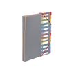 Viquel Rainbow Touch - Uitbreidende map - 2 compartimenten - 12 onderdelen - voorgedrukt: 1-12 - A4 - met tabbladen - gray with multicolor interior