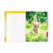 3108720514511-Cahier de textes Chaton - 15,5 x 22 cm - Oberthur--1