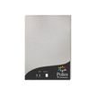 3329680041996-Pollen - 50 Feuilles papier couleur - A4 (21 x 29,7 cm) - 120 g/m² - argent-Angle droit-0