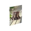 3664447114811-oberthur CHATONS TWINS - classeur à anneaux - pour A4-Angle gauche-0