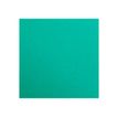Clairefontaine MAYA A2+ - Tekenpapier - 500 x 700 mm - donkergroen