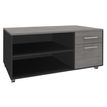 Burocean Steely Manager - Storage unit - 2 lades - koolstof, grijs eiken