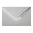 3329680041996-Pollen - 50 Feuilles papier couleur - A4 (21 x 29,7 cm) - 120 g/m² - argent-Gros plan-2