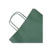 3329683957102-Clairefontaine - 25 Sacs cadeau kraft - 22 cm x 10 cm x 27 cm - vert-Gros plan-1
