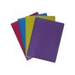 3130630855873-Exacompta Linicolor Intensive - Porte vues - 100 vues - A4 - disponible dans différentes couleurs-Avant-2