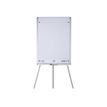 4006140028474-Oxford SmartChart - Recharge pour paperboard - 20 feuilles repositionnables Scribzee-Avant-1