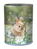 Pot a crayons Lapin - 6,5 x 10,8 cm - Oberthur