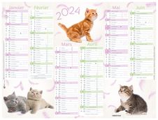 Calendrier Chats 4 saisons - 6 mois par face - 32 x 42 cm - Oberthur