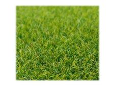 Schulcz - grass mat - 300 x 400 mm - lichtgroen - vezel
