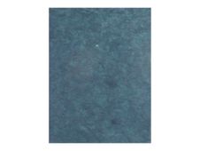 Clairefontaine - Papier - 650 x 950 mm - 10 vellen - zwart - 25 g/m² - mulberry paper