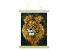 Craft Buddy Crystal Art - Kit mosaïque diamant artisanal - majestic mane - 35 x 45 cm