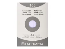 Exacompta - Registratiekaart - A4 - wit - van ruiten voorzien (pak van 100)