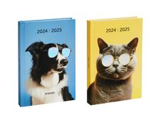 Brepols Back To School Amici - dagboek