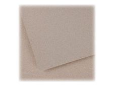 CANSON Ingres Vidalon 52 - Tekenpapier - 500 x 650 mm - lichtgrijs