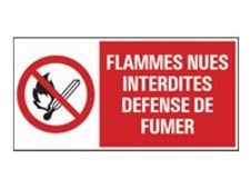 Pickup - Panneau de signalisation - 300 x 150 mm - Flammes interdites