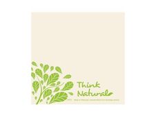Fato Fiberpack - Servet - Grootte 33 x 33 cm - wegwerpbord - natuurlijk (pak van 50)