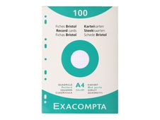 Exacompta - Registratiekaart - A4 - wit - van ruiten voorzien (pak van 100)