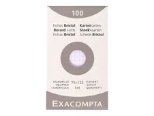 Exacompta - Registratiekaart - 75 x 125 mm - wit - van ruiten voorzien (pak van 100)