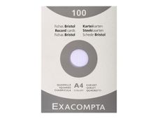 Exacompta - Registratiekaart - A4 - wit - van ruiten voorzien (pak van 100)