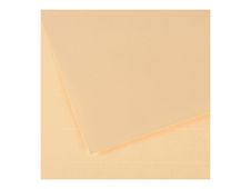 CANSON Ingres Vidalon 48 - Tekenpapier - 500 x 650 mm - crème