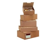 50 Boîtes postales d'expédition - 25 cm x 15 cm x 10 cm - kraft brun - Logistipack