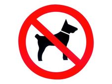 PICKUP - Teken - no dogs - rond - 300 mm (diameter) - polystyreen