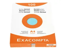Exacompta - Registratiekaart - A4 - assorti - van ruiten voorzien (pak van 100)