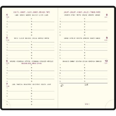 3660942069281-Agenda de poche Ginkgo Eurotime 16 - 1 semaine sur 2 pages - 8,5 x 16 cm - disponible dans différentes cou--3
